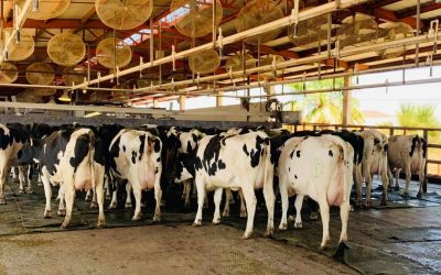 241254060_583409199367830_1052995840197850506_n