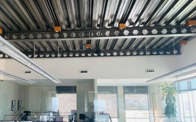 241390107_935584003968202_7385526512781240497_n