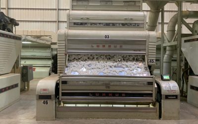 264169889_1778623205682237_4223924499499716370_n