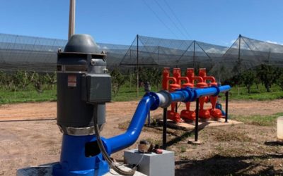 Diseño sin título (1)