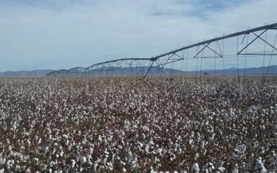 Diseño sin título (5)