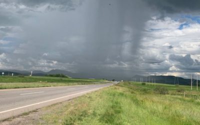 Diseño sin título (6)