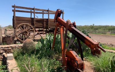 WhatsApp Image 2022-07-15 at 10.49.08 AM